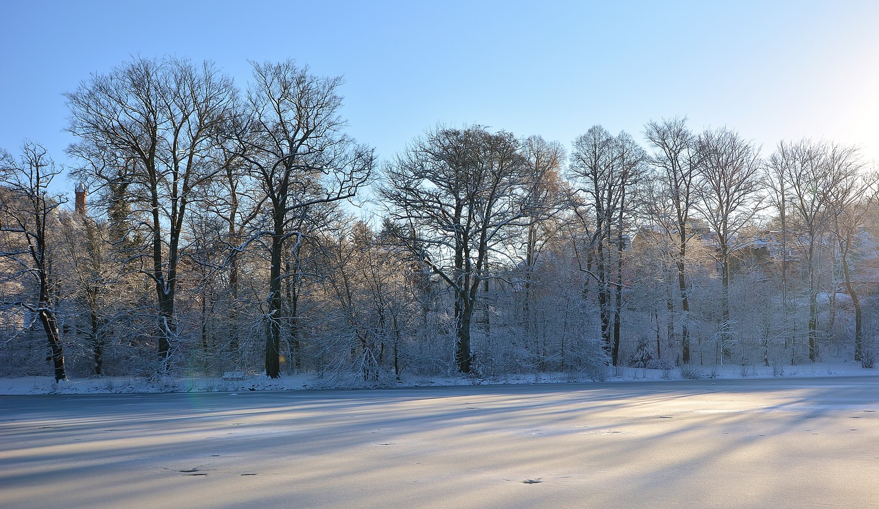 Introduction to Reinforcement Learning: the Frozen Lake Example